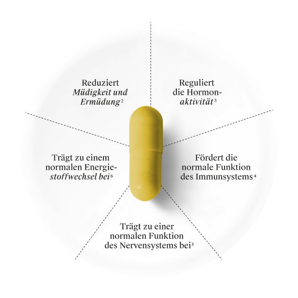 Zeitleisten-Banner