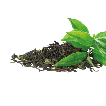 Green tea extract