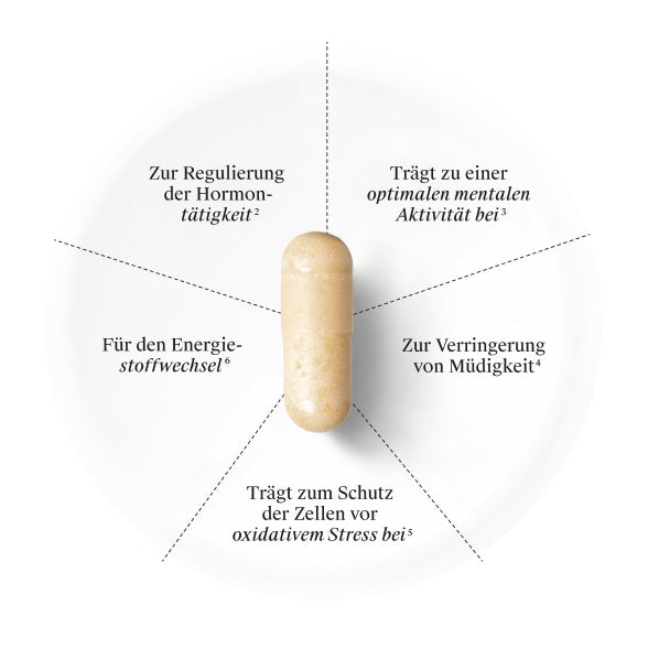 Bannière de chronologie
