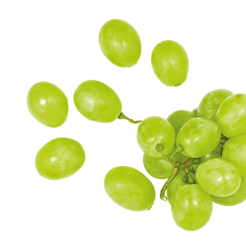 Grape seeds extract