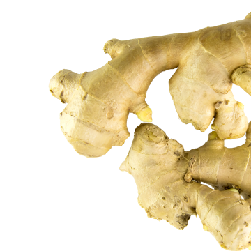 Ginger extract