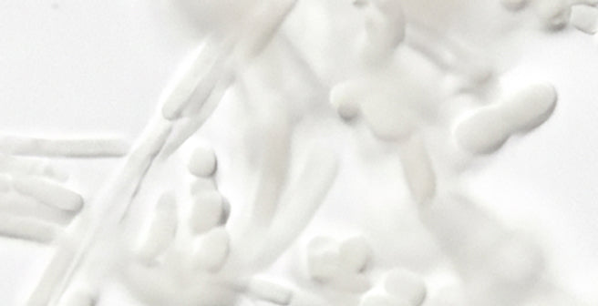 mybacs product ingredient
