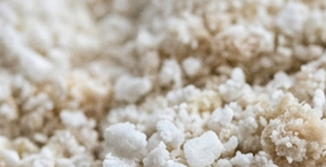 mybacs product ingredient