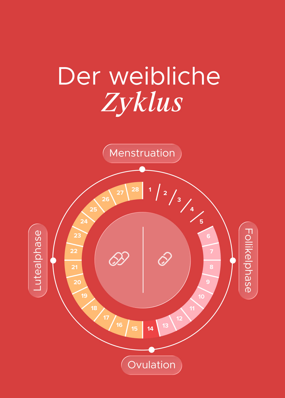 Cyclebacs