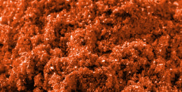 mybacs product ingredient