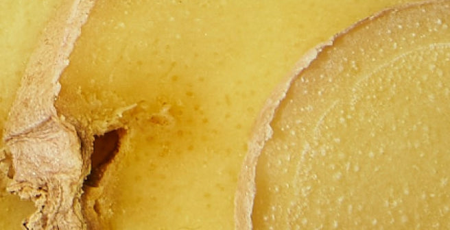 mybacs product ingredient