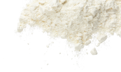 Bacterial strains