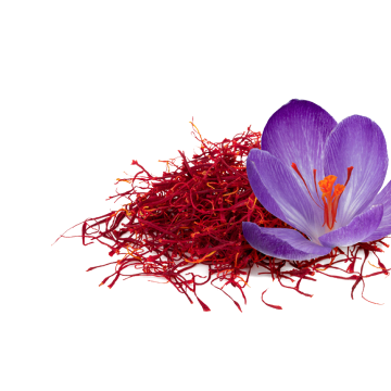 saffron extract