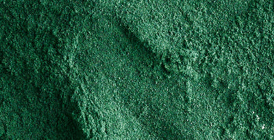 Spirulina