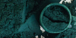 mybacs product ingredient