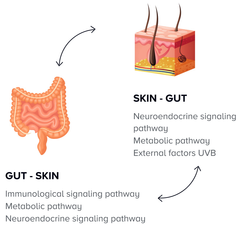 The gut-skin axis explained