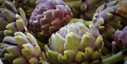 mybacs product ingredient