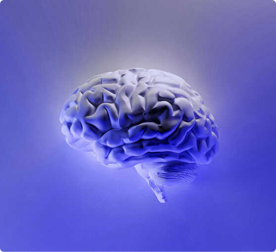 Die Darm-Hirn-Achse erklärt