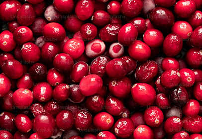 mybacs product ingredient