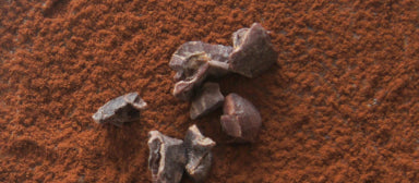 Soja- und Favabohnen Protein